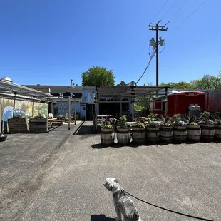 Taproom and patio