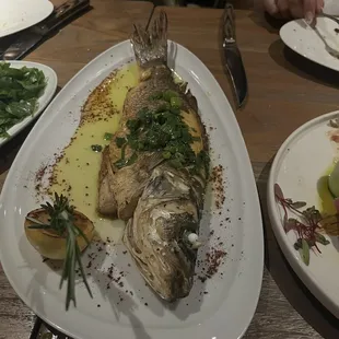 Bronzino