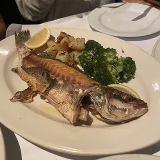 Whole Branzino