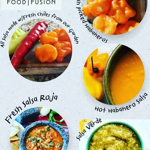 oysters and mussels, food