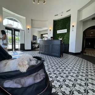 Foyer, waiting area