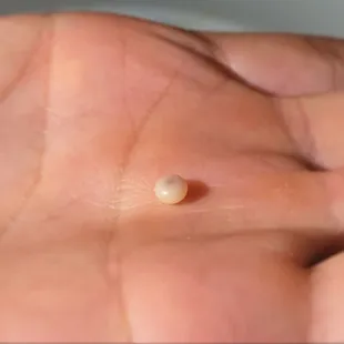 Pearl found in one of the clams in my Linguine alla Vongale