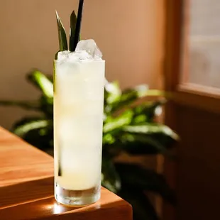 drink