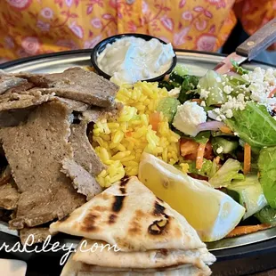 Gyro Plate