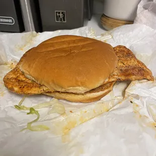 Chicken sandwich so big I cut and double stacked
