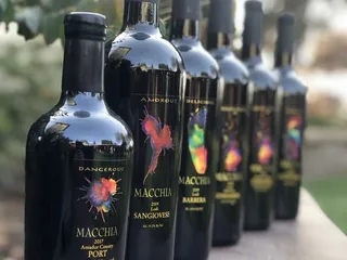 Macchia Wines