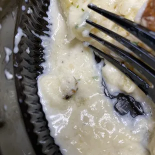 Bug swimming in my sauce