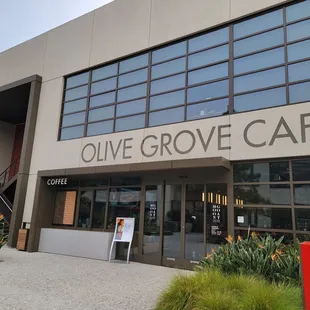 the entrance to olive grove cafe