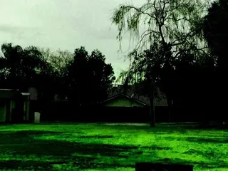 Bill Park Greens Park