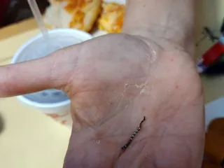 Oishii Hibachi & Buffet