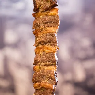 a skewer of meat