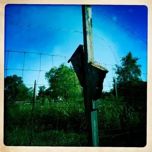 Birdhouse