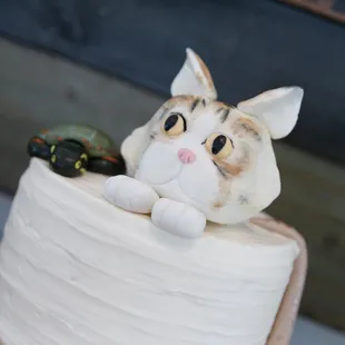 a cake with a cat on top