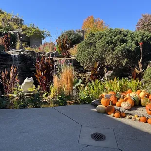 Beautiful outdoor/entrance