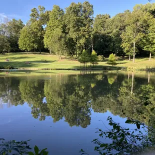 Lake outside of the winery