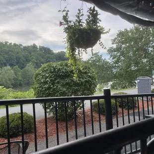 View from the restaurant