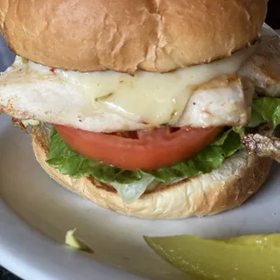 Chicken Avocado Burger