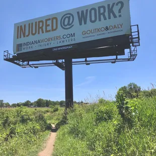 Injured at work? Maybe you just need to come to Oliver's Woods and walk around a bit and you'll feel better.