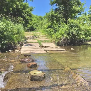 This path was flooded