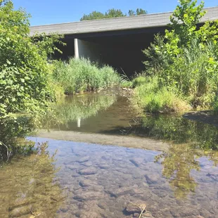 I-465 is right there