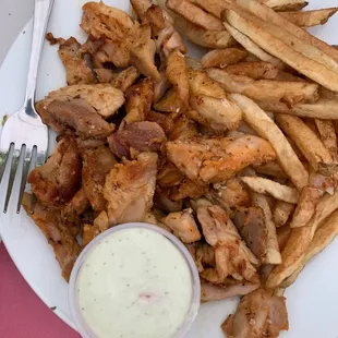 Gyro Meat with French Fries