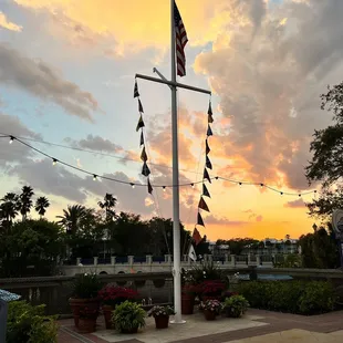 View from the patio