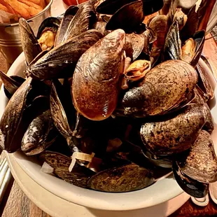 shellfish, food, oysters, oysters and mussels, mussels