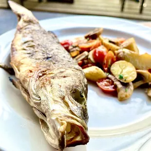 a fish on a plate with vegetables