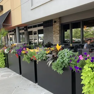 the outside of the restaurant