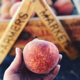 "Autumn Flame" peaches from Tenerelli orchards.