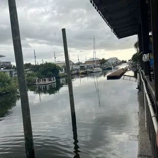 Nice view. Lots of birds and fish in canal like to be fed.
