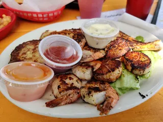 Shark Bites On the River