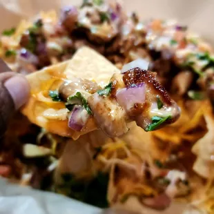 a hand holding a tortilla