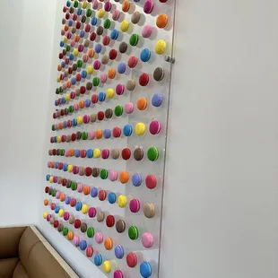 sushi and sashimi, interior