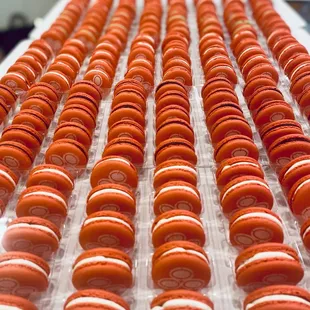 a tray of macarons