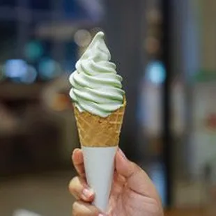 Signature Pistachio Frozen Yogurt