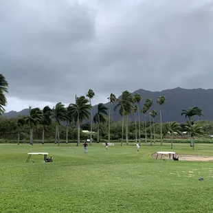 Guys on a par 3 green with great backdrop