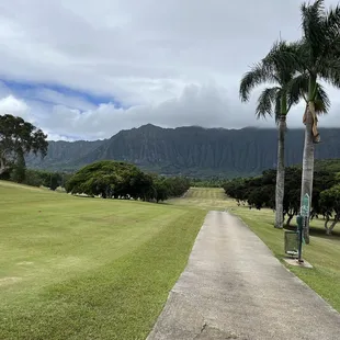 Cart path