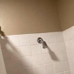 Completed work in hall bathroom shower