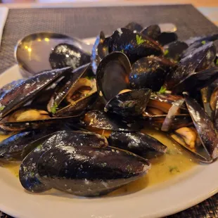 shellfish, food, mussels, oysters and mussels, oysters