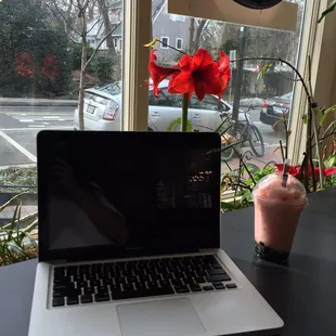 Found a cute place to study. Yay free wifi! Got a strawberry bubble tea.