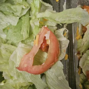 lettuce, tomato, and cheese