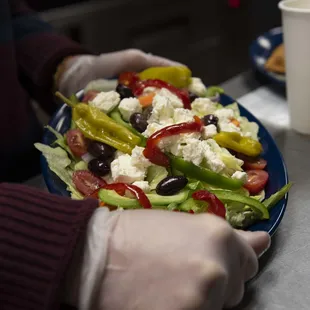 a person holding a plate of salad