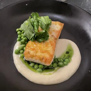 Halibut