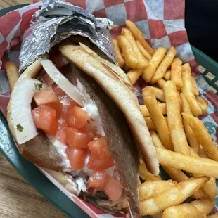 Gyro w/ fries