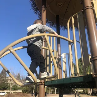 Lots of climbing options