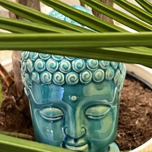a buddha head in a pot
