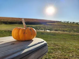 Ditmars Orchard & Vineyard