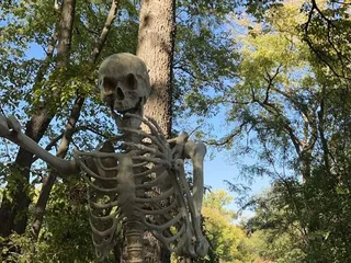 Bellevue Berry & Pumpkin Ranch