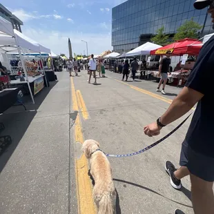 a man walking his dog